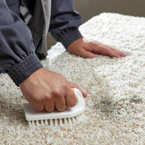 homem-pulverizando-detergente-no-carpete-cinza-para-remover-manchas-em-servico-de-limpeza-profissional (1)
